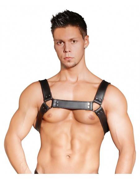 Leather Chest Harness