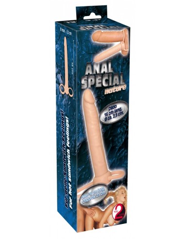 Anal Special nature